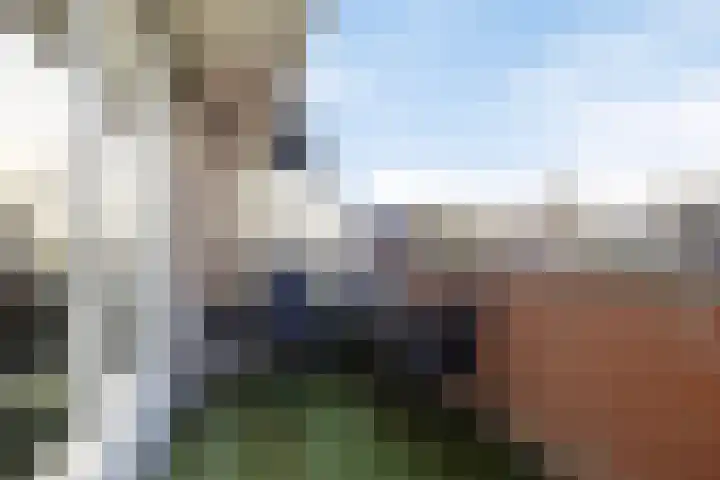 Bezembinder 47 Groesbeek thumbnail 26