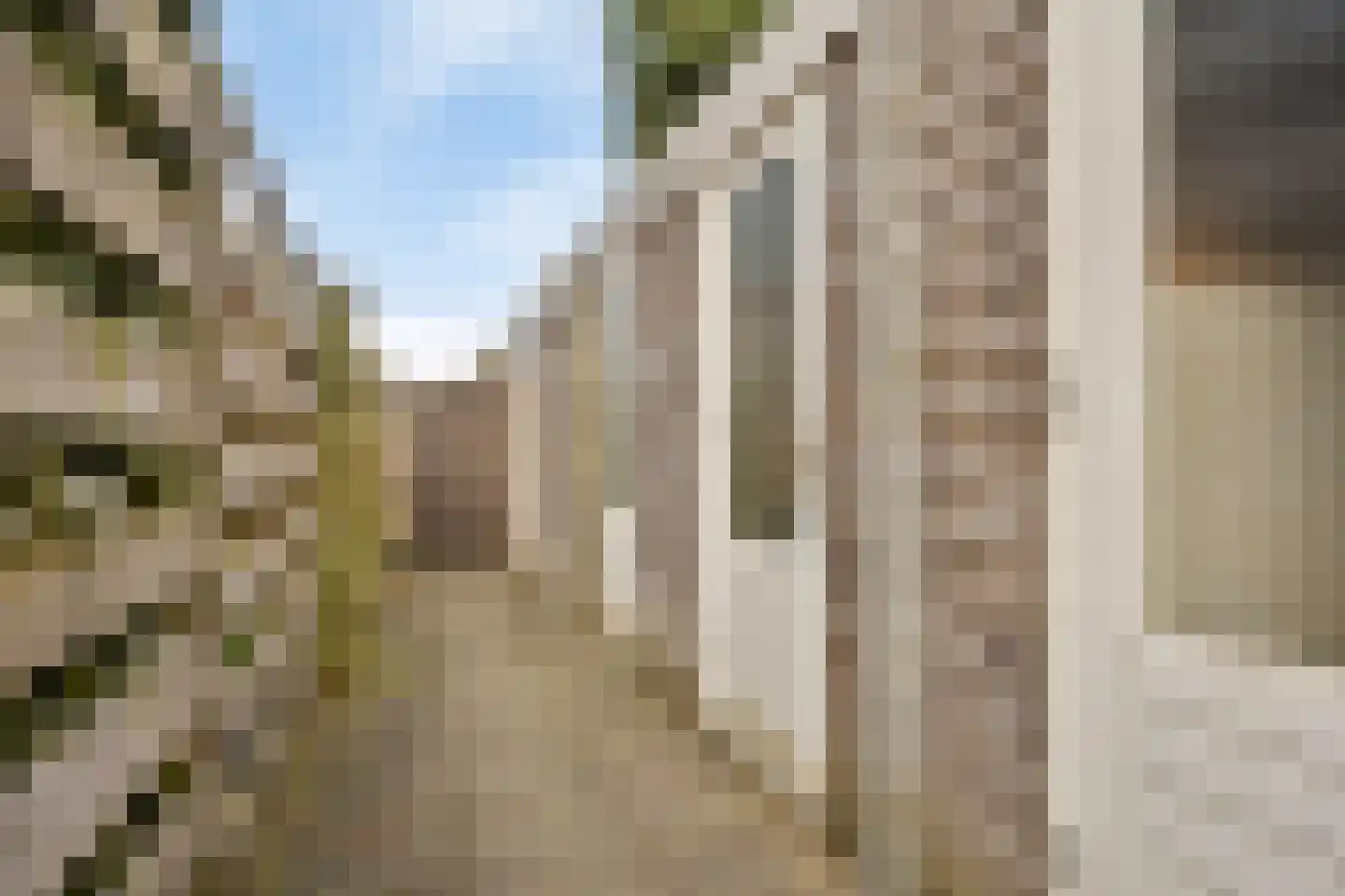 Bezembinder 47 Groesbeek thumbnail 28