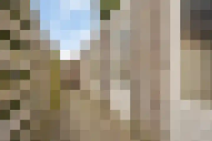 Bezembinder 47 Groesbeek thumbnail 28