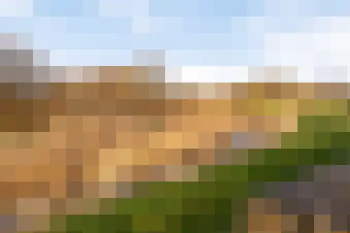 Bezembinder 47 Groesbeek thumbnail 33