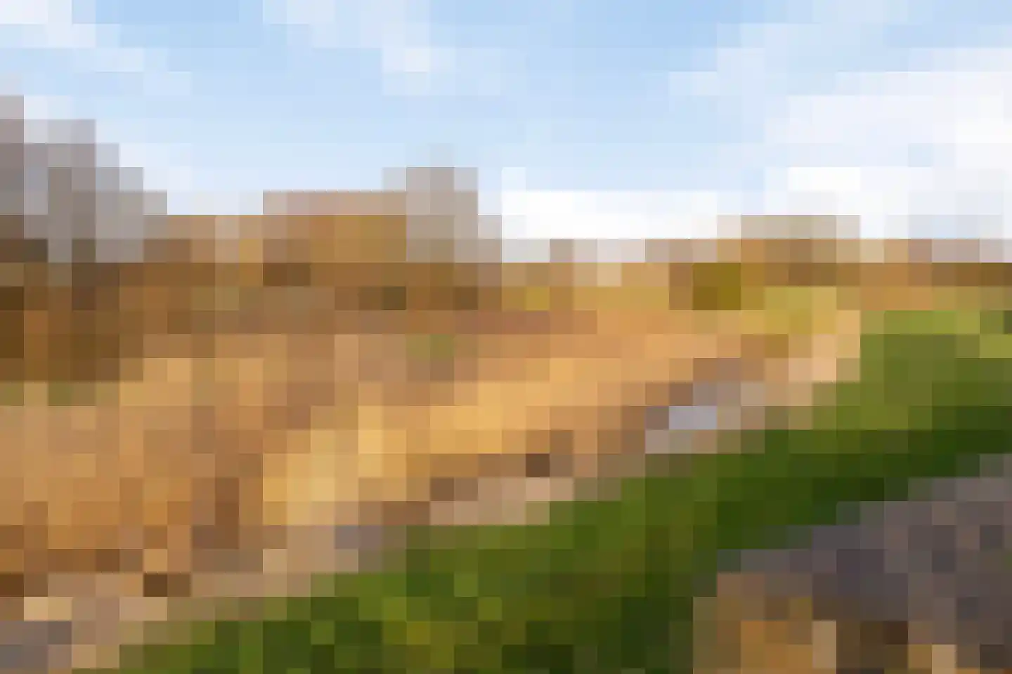 Bezembinder 47 Groesbeek thumbnail 33