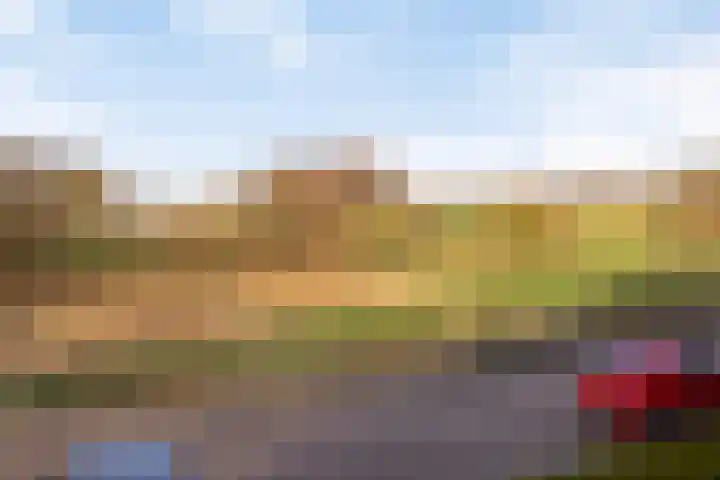 Bezembinder 47 Groesbeek thumbnail 34