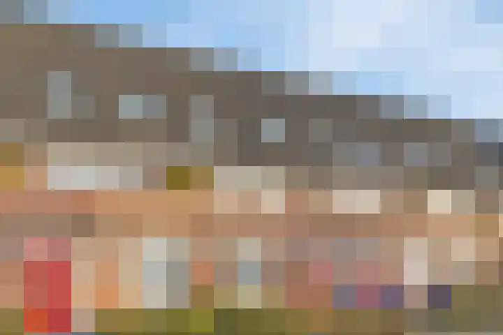 Bezembinder 47 Groesbeek thumbnail 37