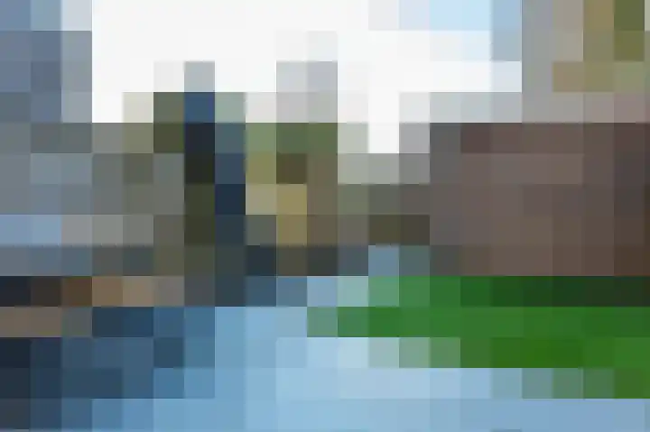 Bezembinder 52 Groesbeek thumbnail 37