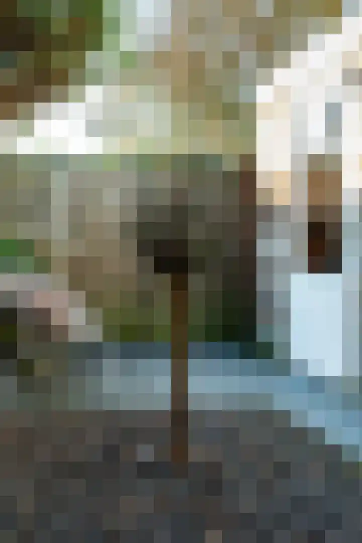 Bezembinder 52 Groesbeek thumbnail 39