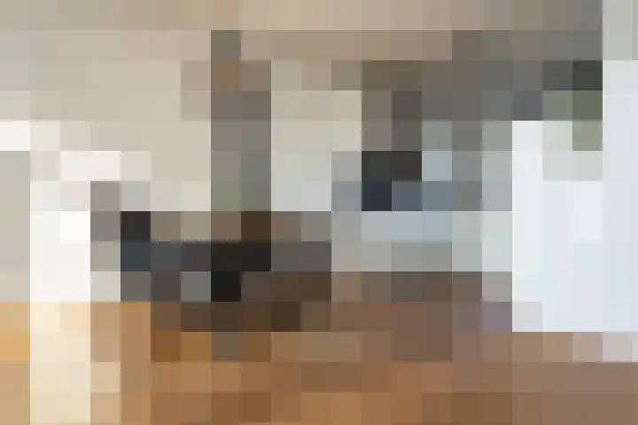 Bezembinder 52 Groesbeek thumbnail 9
