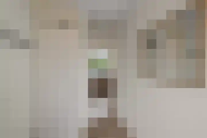 Bezembinder 56 Alphen aan den Rijn thumbnail 11