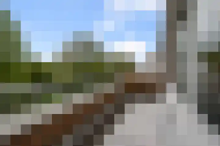 Bezembinder 56 Alphen aan den Rijn thumbnail 20