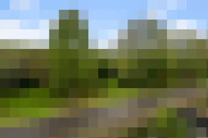 Bezembinder 56 Alphen aan den Rijn thumbnail 21