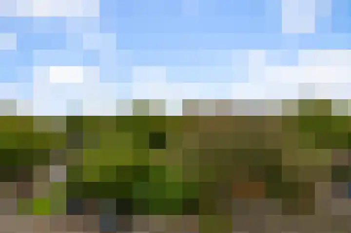 Bezembinder 56 Alphen aan den Rijn thumbnail 22