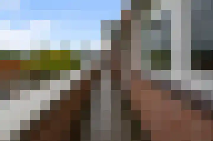 Bezembinder 56 Alphen aan den Rijn thumbnail 5