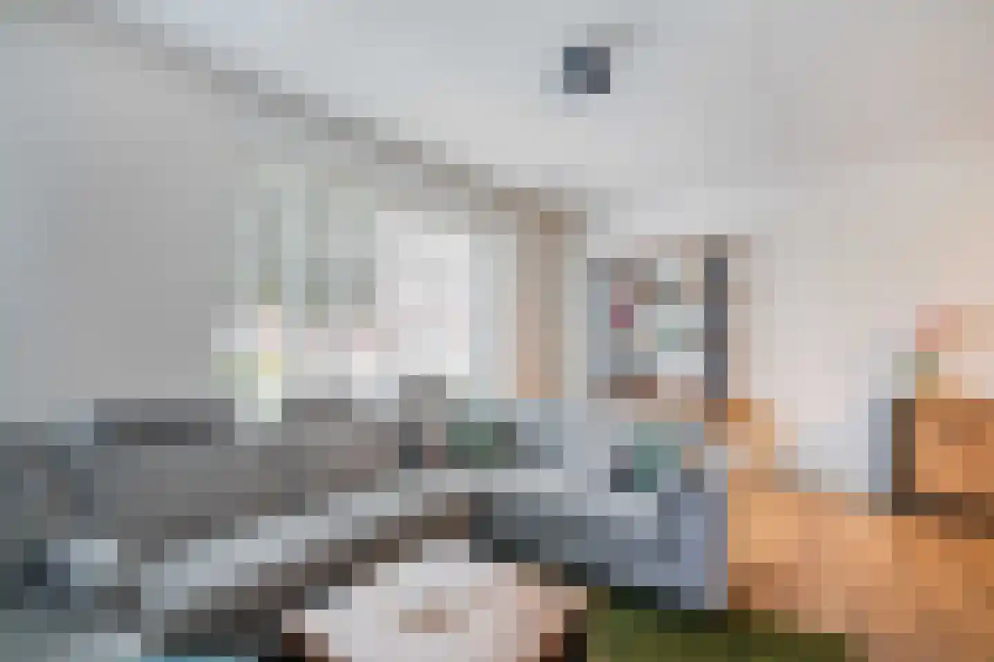 Bezembinder 6 Nederweert thumbnail 13