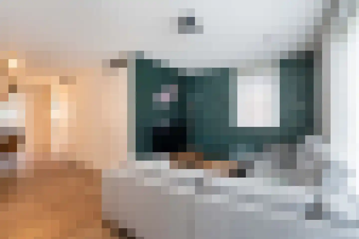 Bezembinder 6 Nederweert thumbnail 14