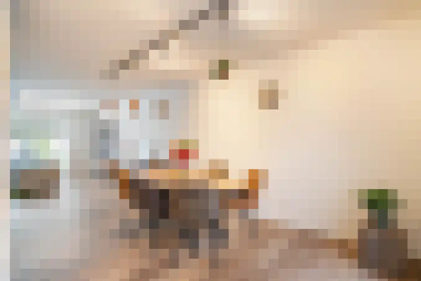 Bezembinder 6 Nederweert thumbnail 15