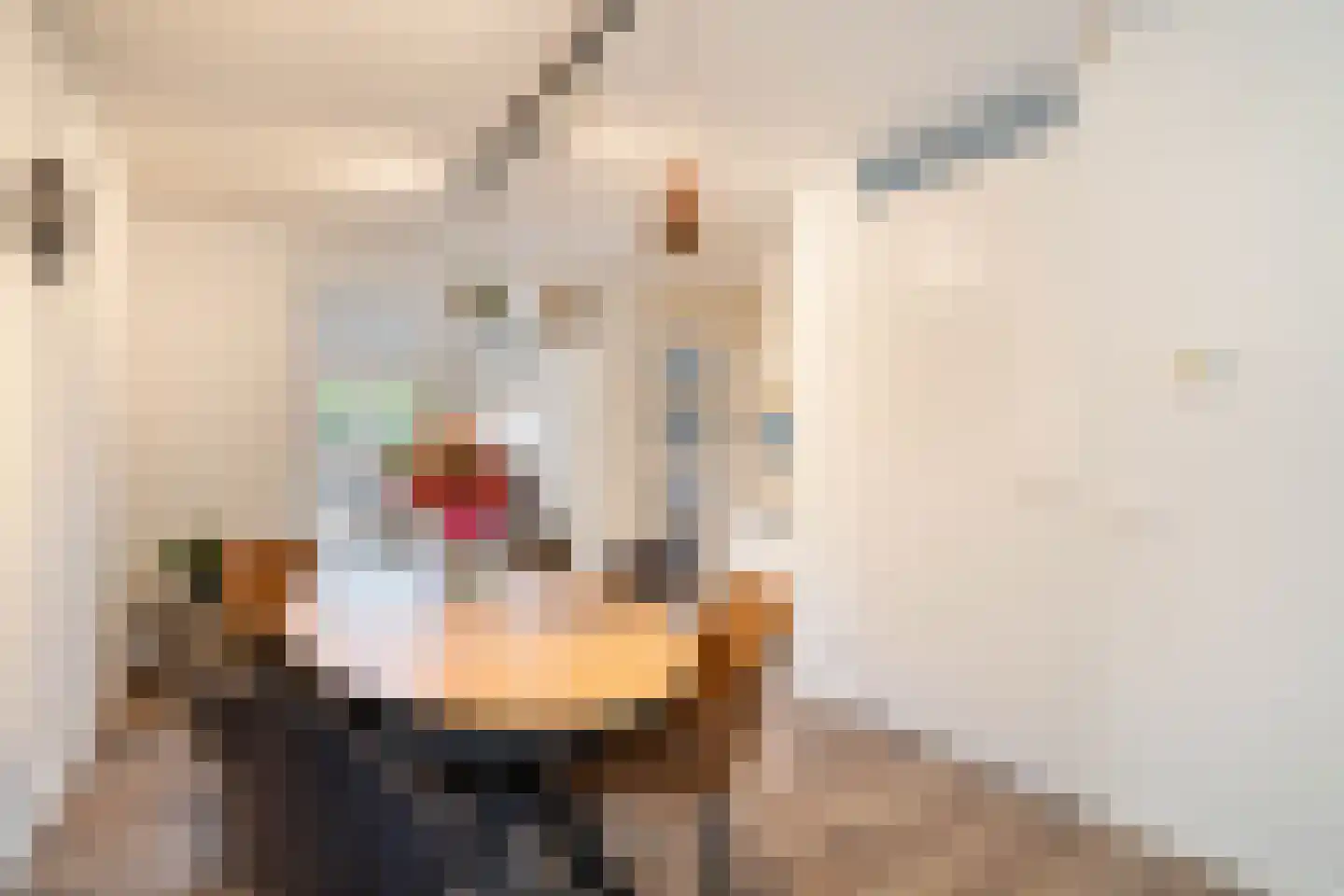 Bezembinder 6 Nederweert thumbnail 16