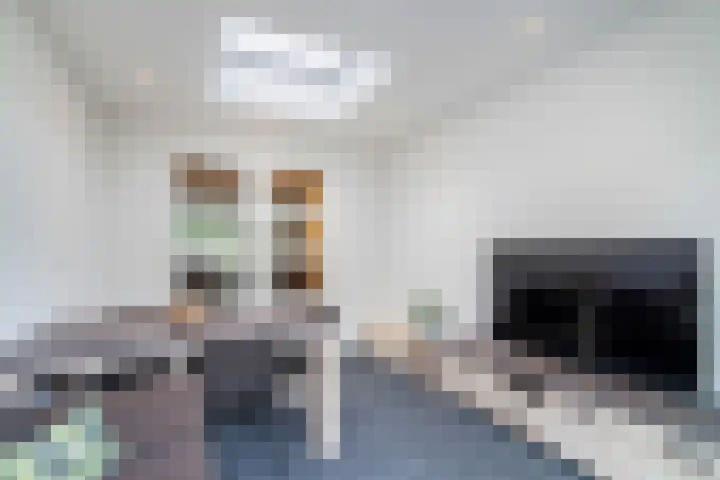 Bezembinder 6 Nederweert thumbnail 18
