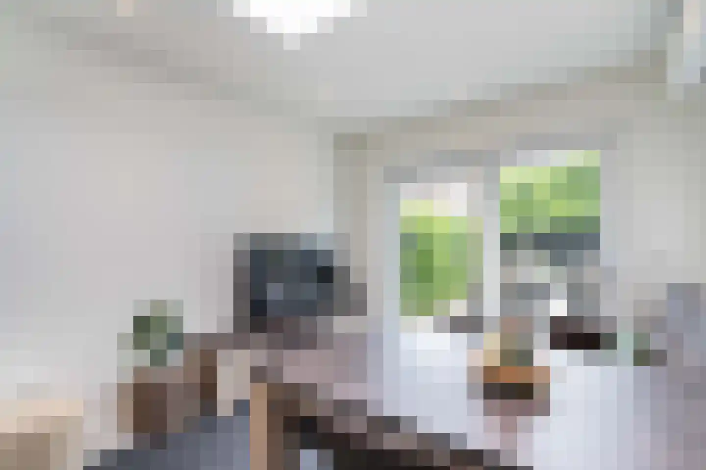 Bezembinder 6 Nederweert thumbnail 19