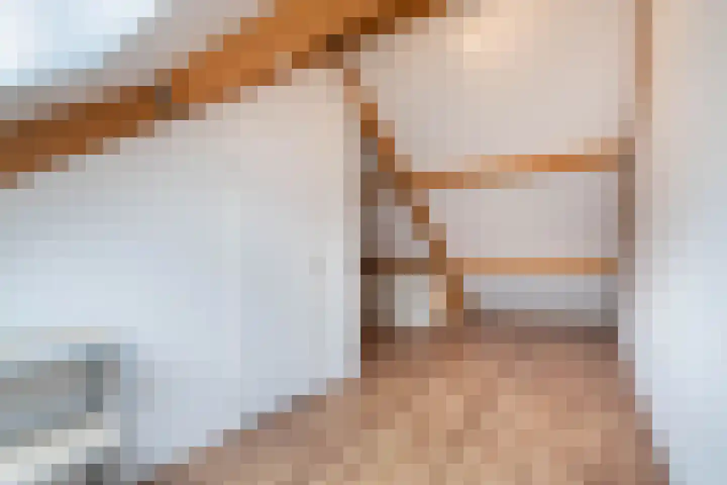 Bezembinder 6 Nederweert thumbnail 40