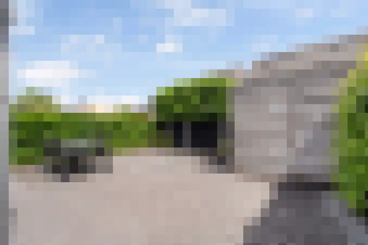 Bezembinder 6 Nederweert thumbnail 43
