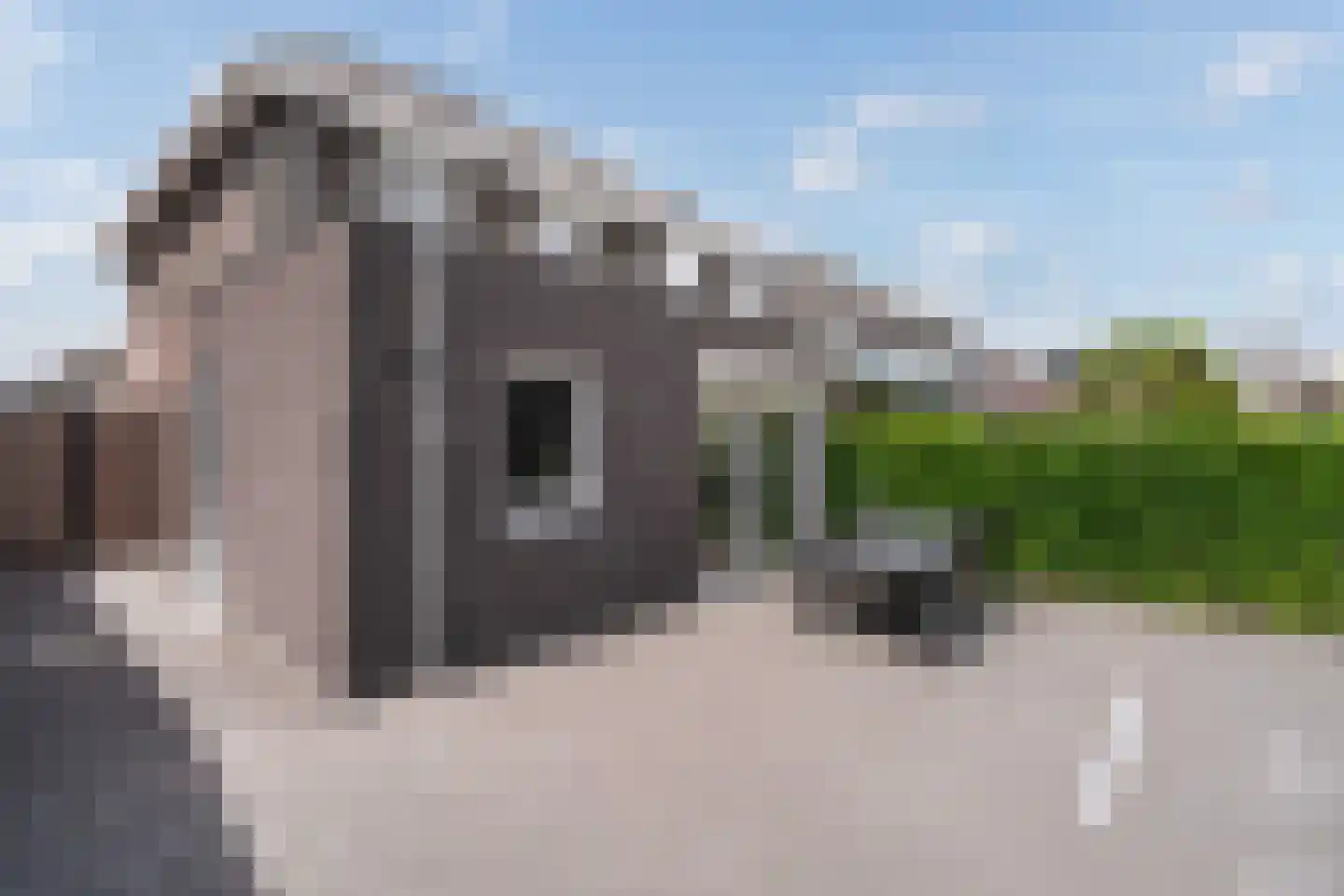 Bezembinder 6 Nederweert thumbnail 46