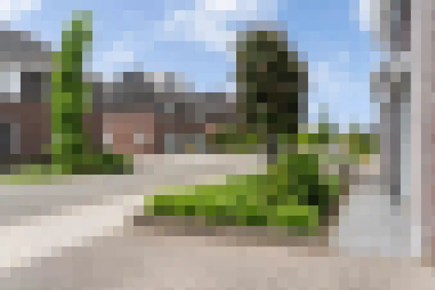 Bezembinder 6 Nederweert thumbnail 7