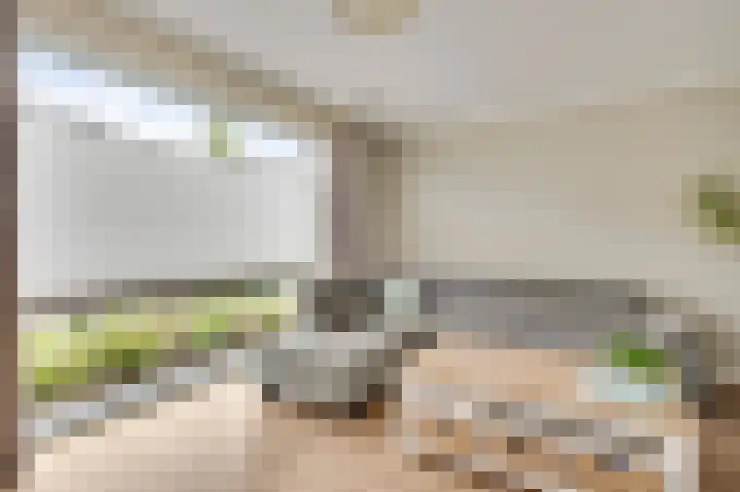 Bezembinder 7 Nederweert thumbnail 13