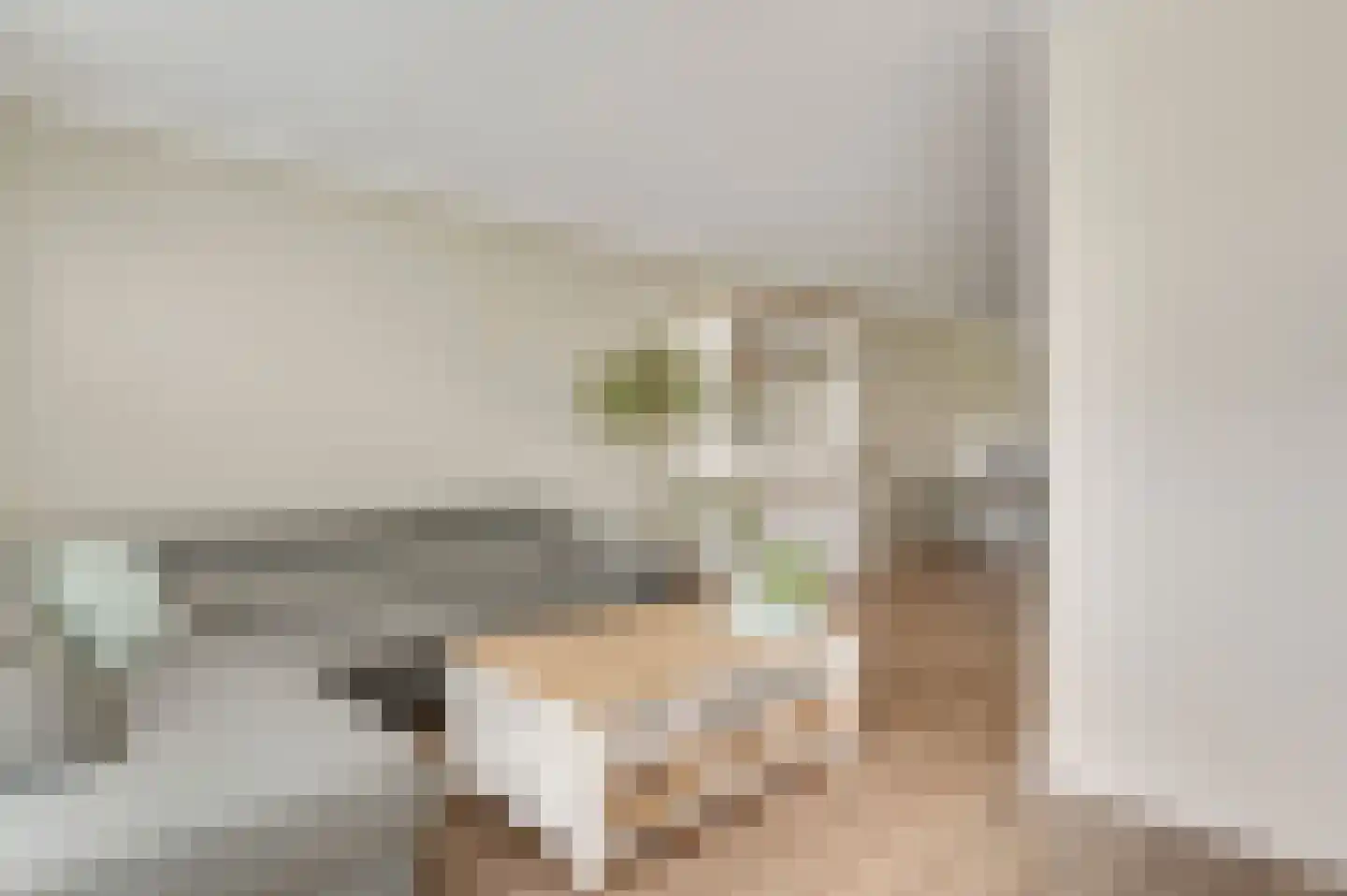 Bezembinder 7 Nederweert thumbnail 14