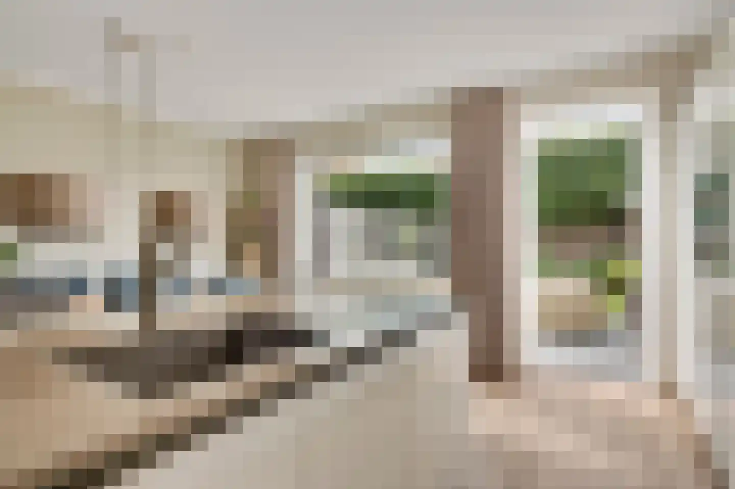 Bezembinder 7 Nederweert thumbnail 18