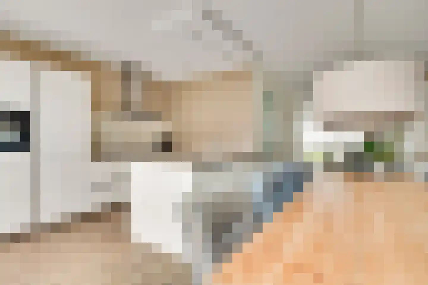 Bezembinder 7 Nederweert thumbnail 20