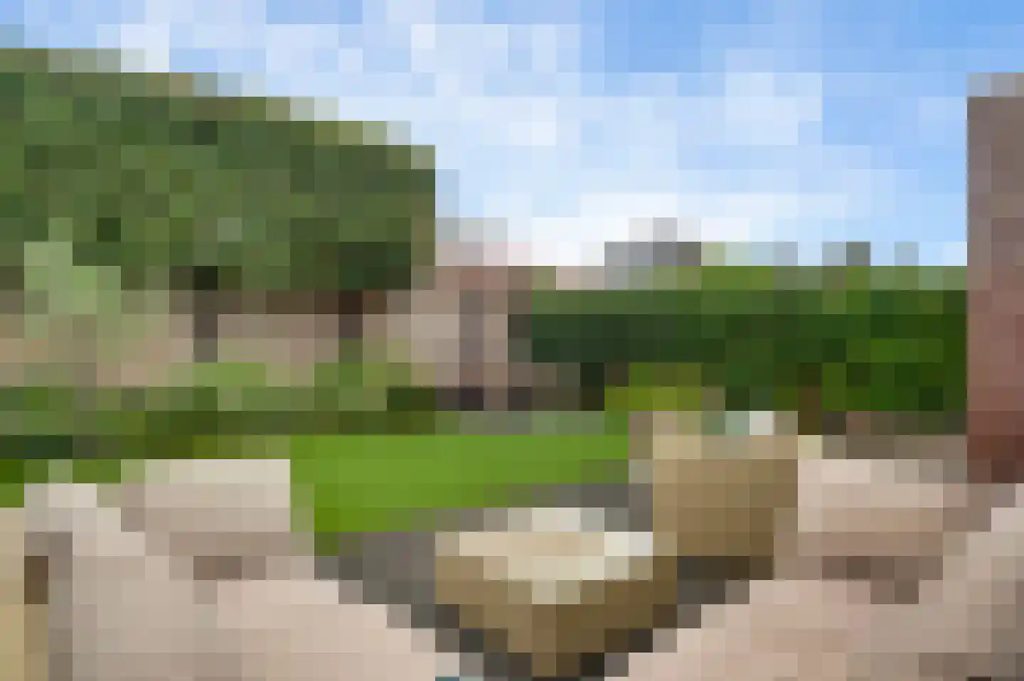 Bezembinder 7 Nederweert thumbnail 23
