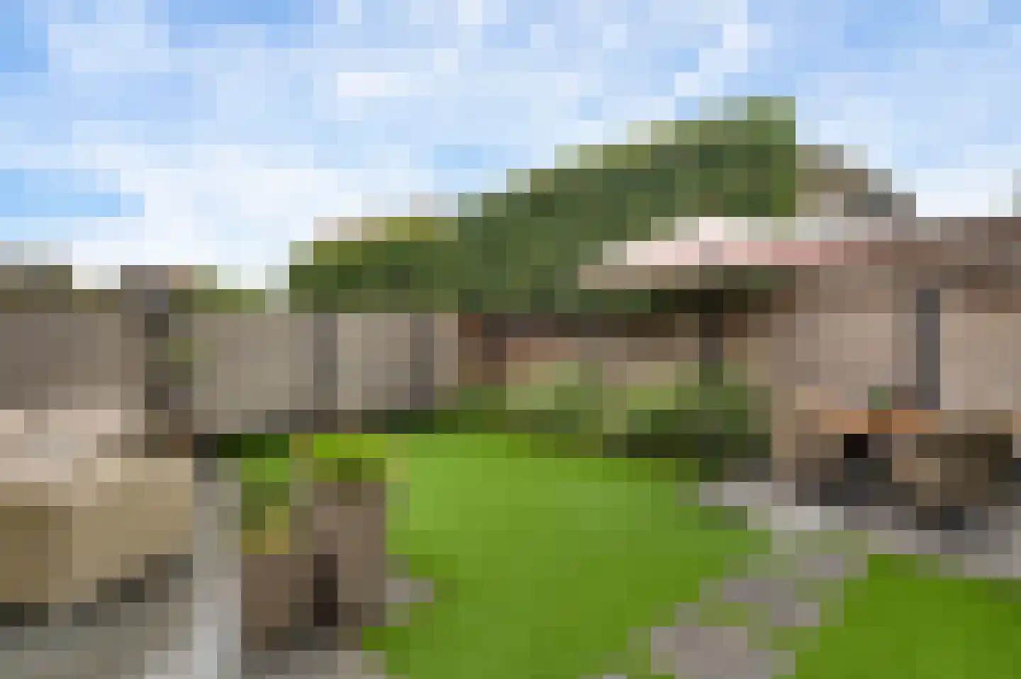 Bezembinder 7 Nederweert thumbnail 24