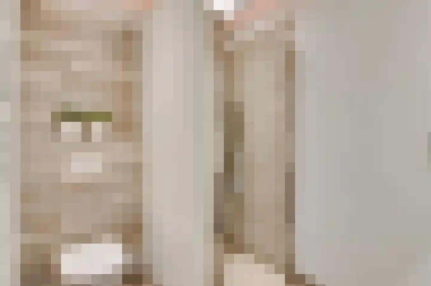 Bezembinder 7 Nederweert thumbnail 36