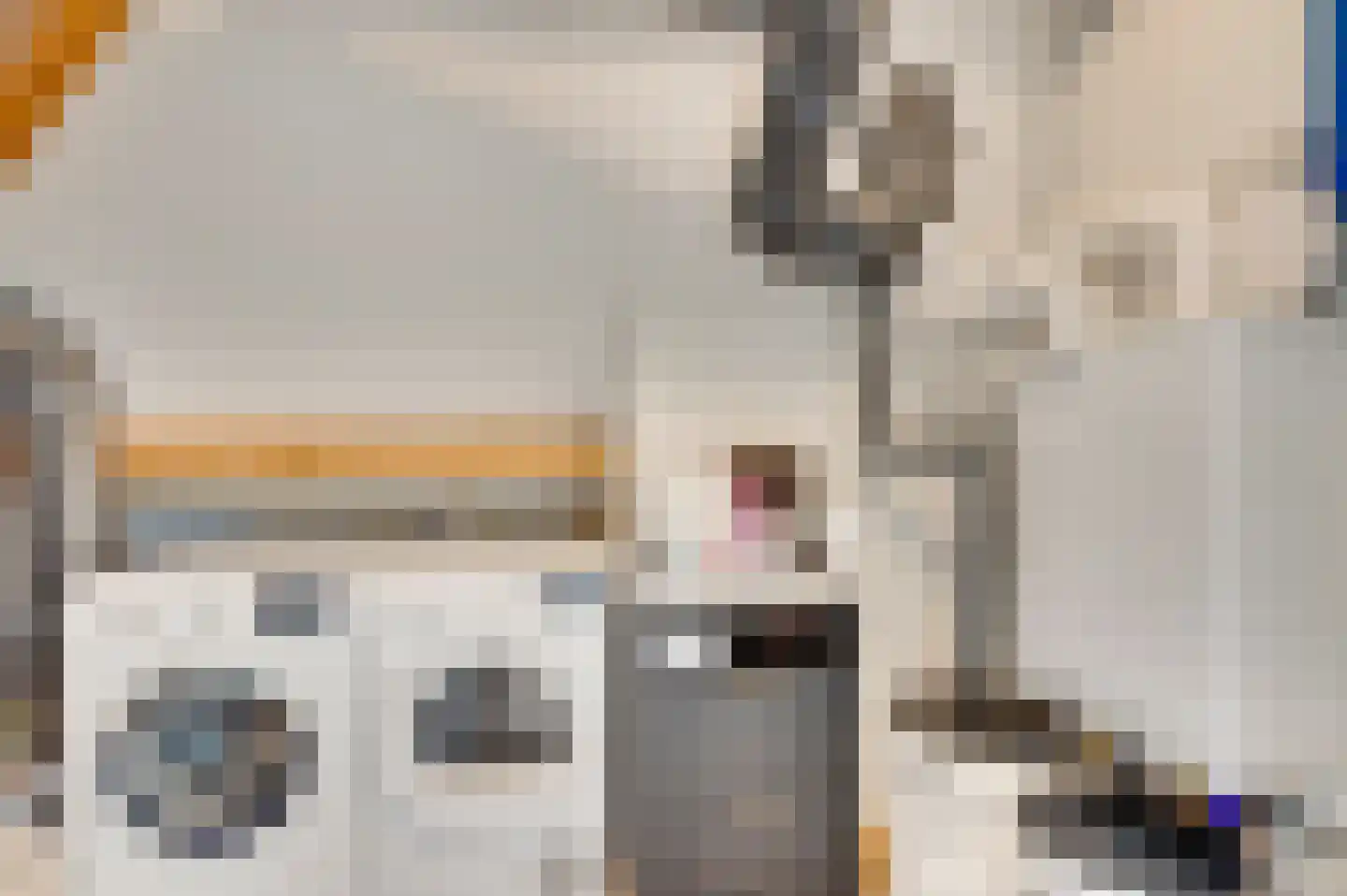 Bezembinder 7 Nederweert thumbnail 40