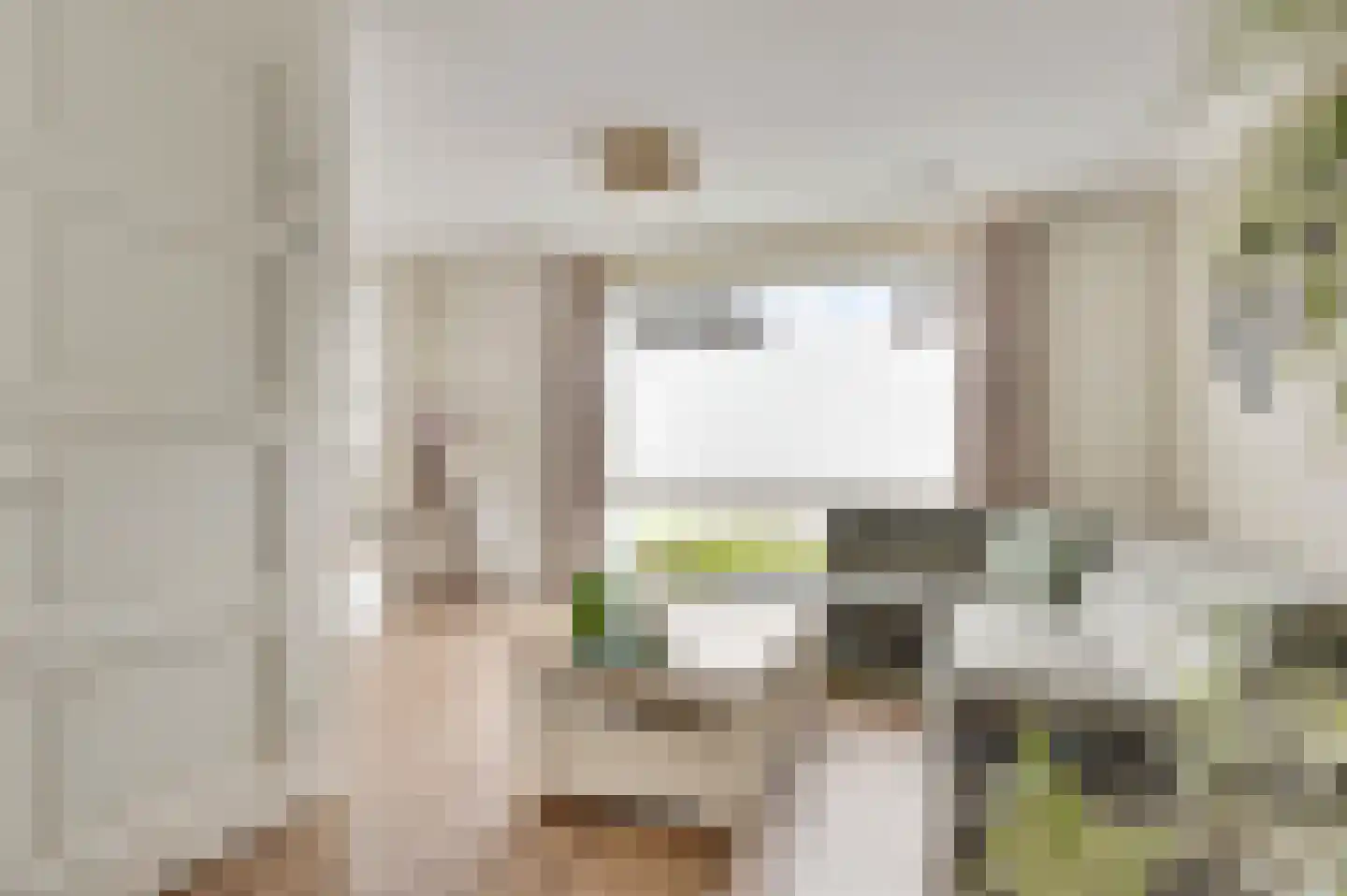 Bezembinder 7 Nederweert thumbnail 5