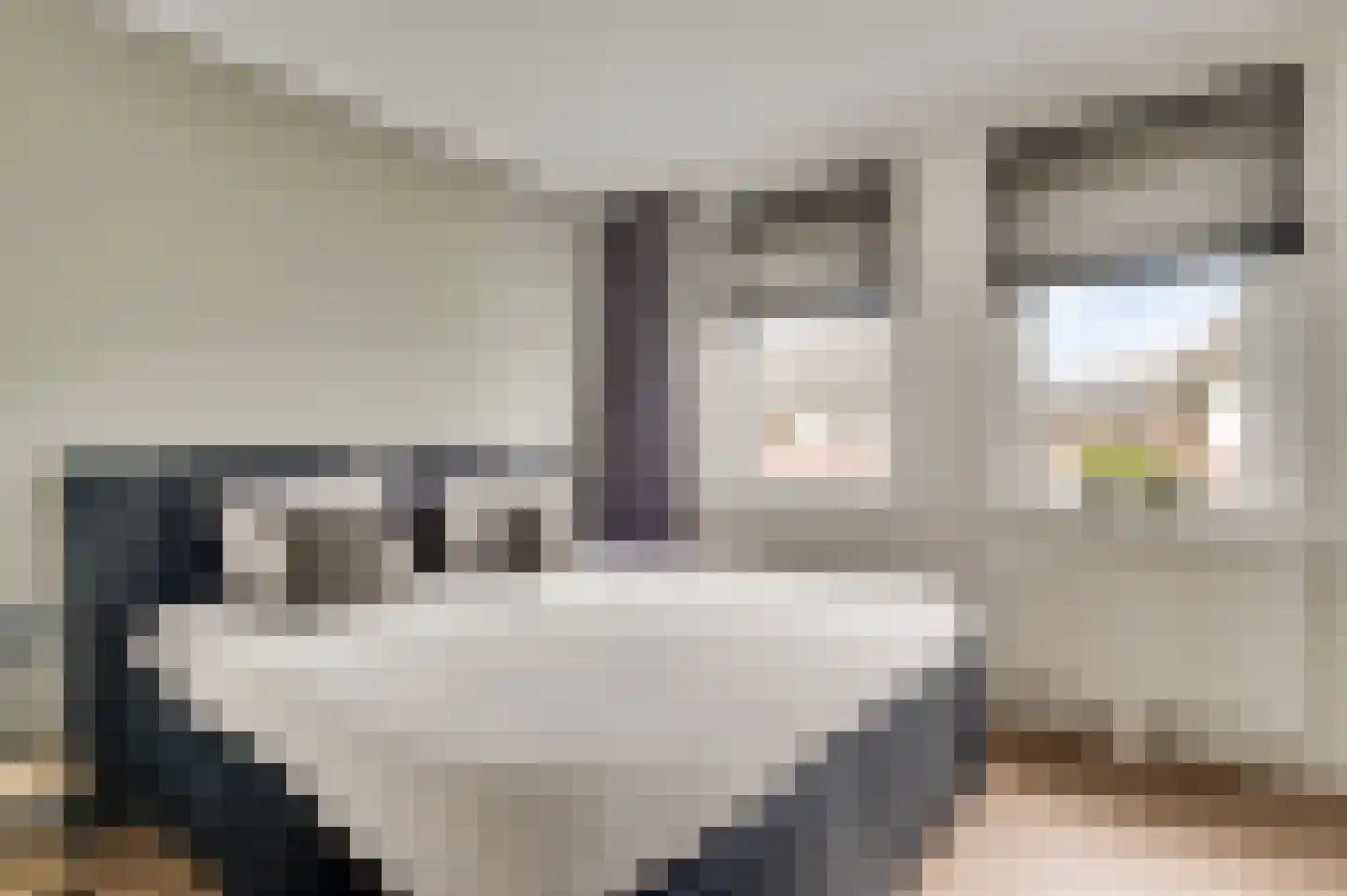 Bezembinder 7 Nederweert thumbnail 6