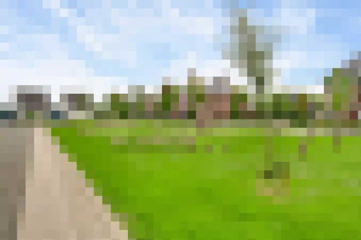 Bezembinder 7 Nederweert thumbnail 8