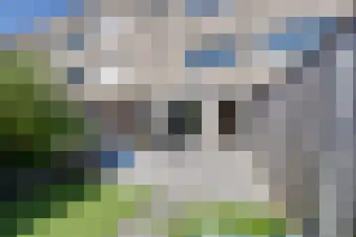Bezembinderspad 4 Amsterdam thumbnail 25