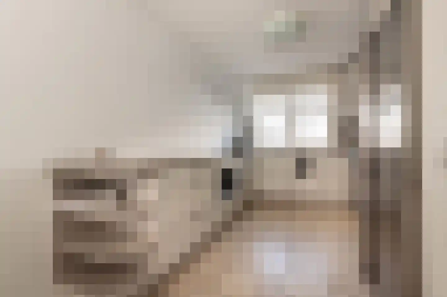 Bezembinderspad 5 Amsterdam thumbnail 12