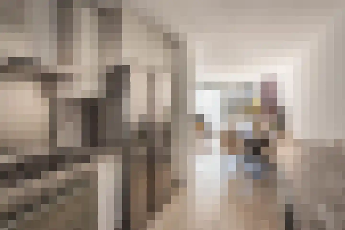 Bezembinderspad 5 Amsterdam thumbnail 14