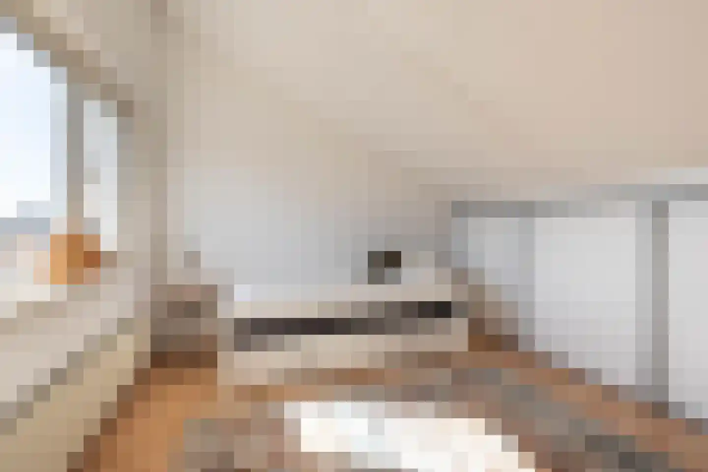 Bezembinderspad 5 Amsterdam thumbnail 39