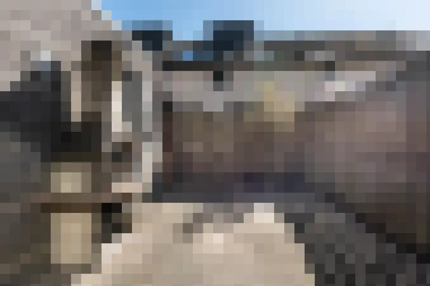 Bezembinderspad 5 Amsterdam thumbnail 41