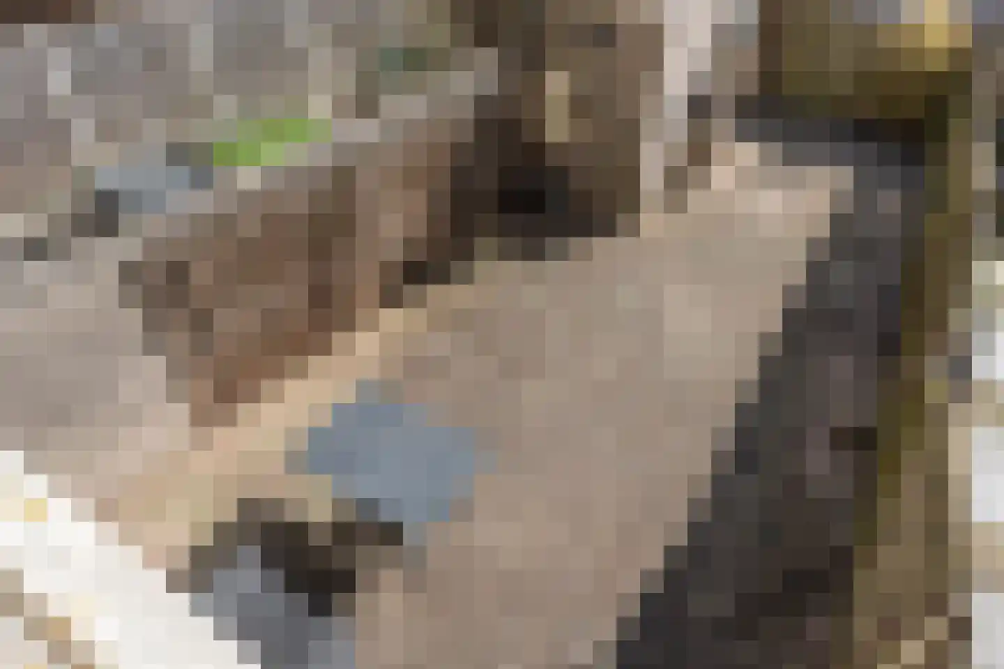Bezembinderspad 5 Amsterdam thumbnail 42