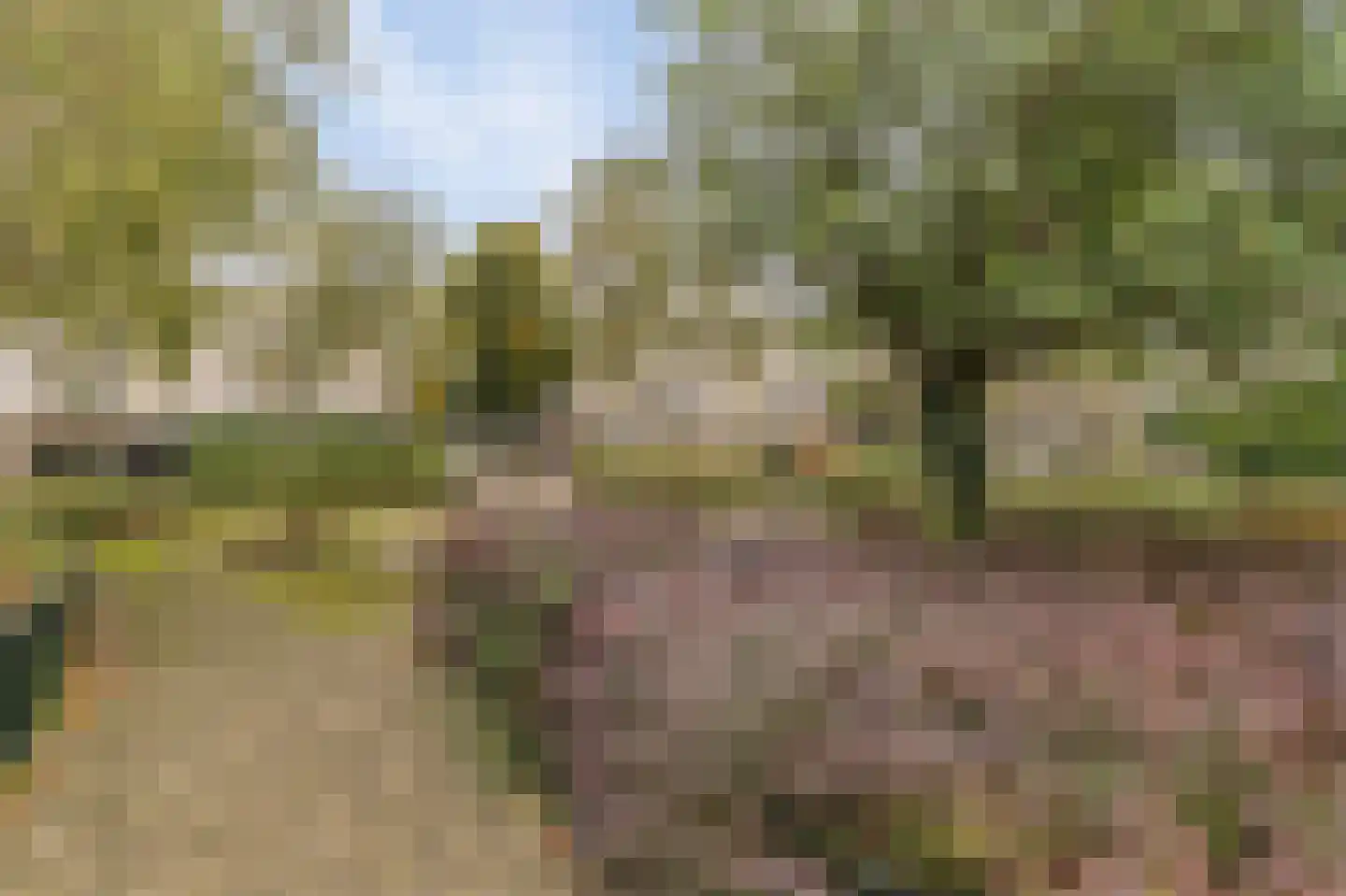 Bezembinderspad 5 Amsterdam thumbnail 48