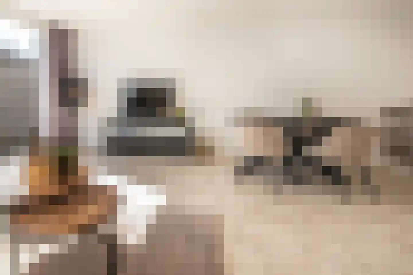 Bezembinderspad 5 Amsterdam thumbnail 9