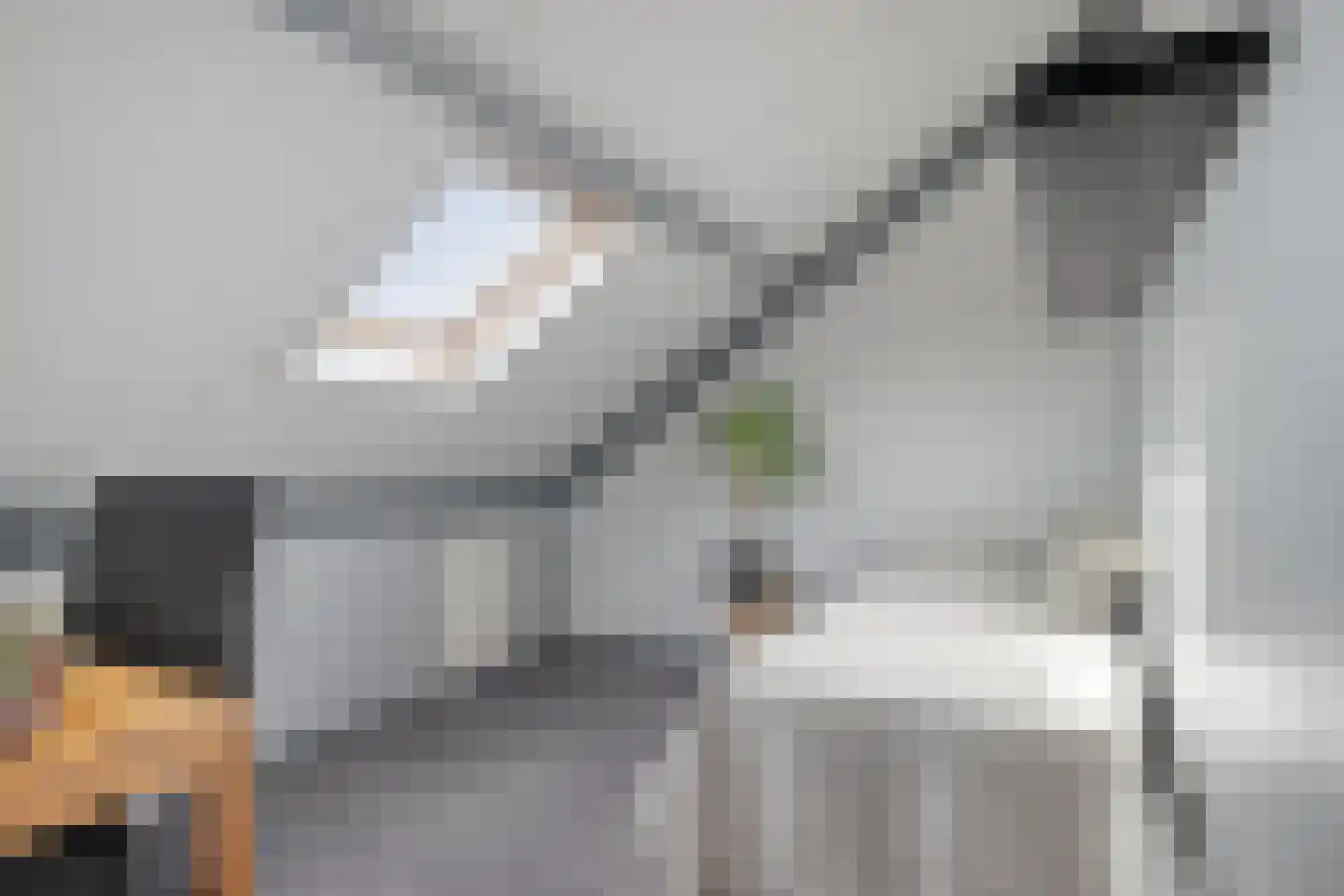 Bezemerland 12 Nieuwaal thumbnail 32