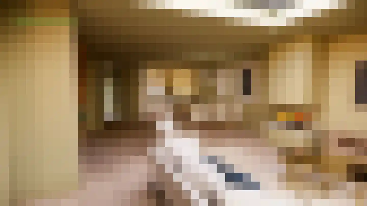 Bezemerland 12 Nieuwaal thumbnail 4