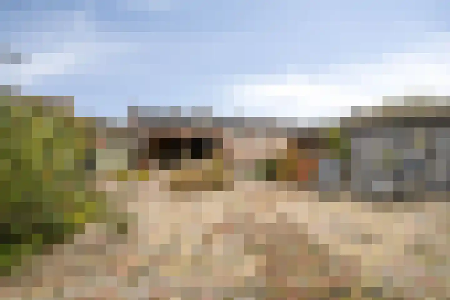 Bezemerland 12 Nieuwaal thumbnail 42