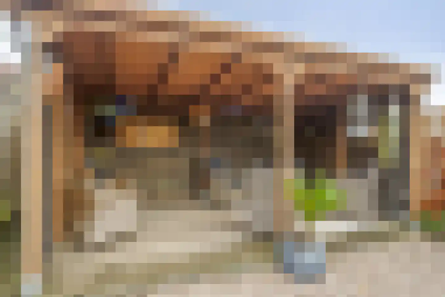 Bezemerland 12 Nieuwaal thumbnail 44