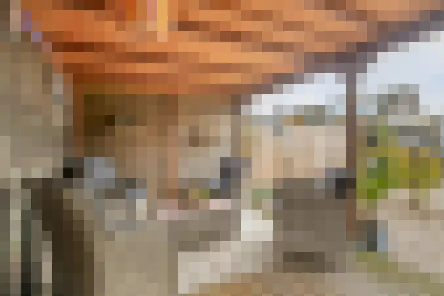 Bezemerland 12 Nieuwaal thumbnail 45