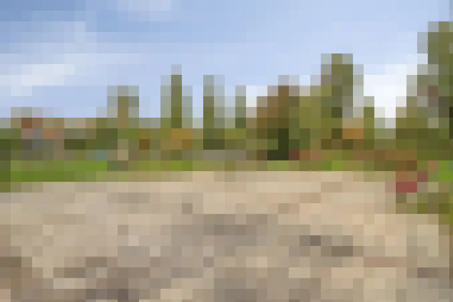Bezemerland 12 Nieuwaal thumbnail 47